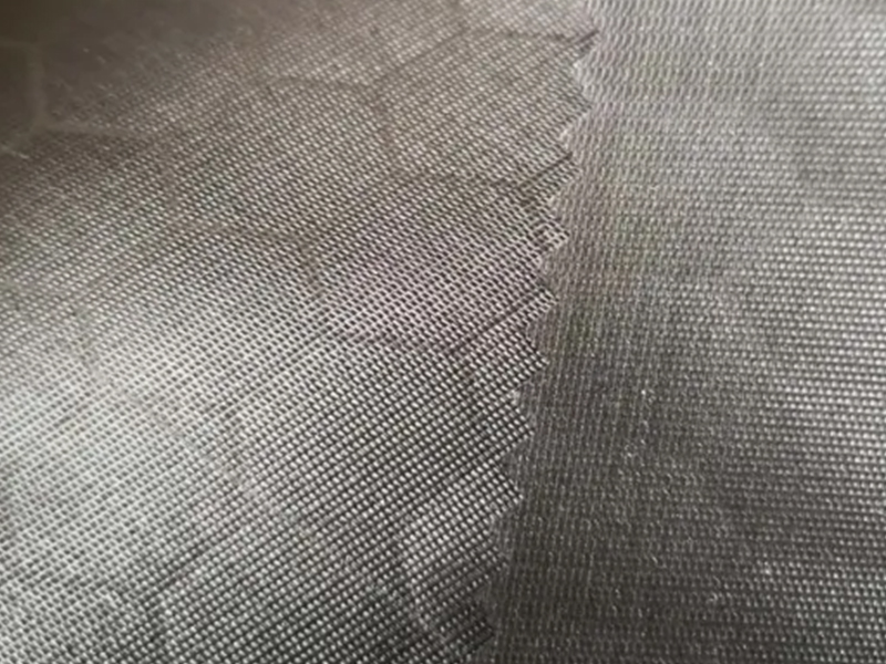 Polyester 170t reliëf taft met PA gecoate stof voor voering